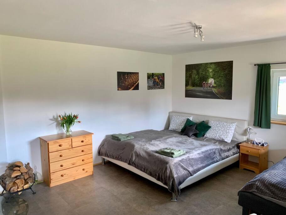 Apartment Tour Bohemian Switzerland Horni Podluzi ภายนอก รูปภาพ
