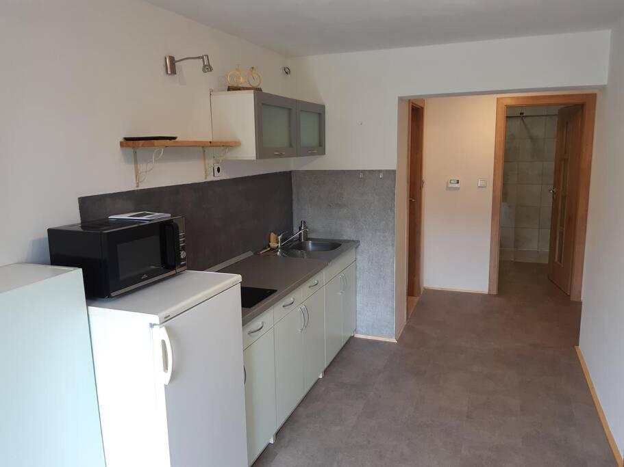 Apartment Tour Bohemian Switzerland Horni Podluzi ภายนอก รูปภาพ