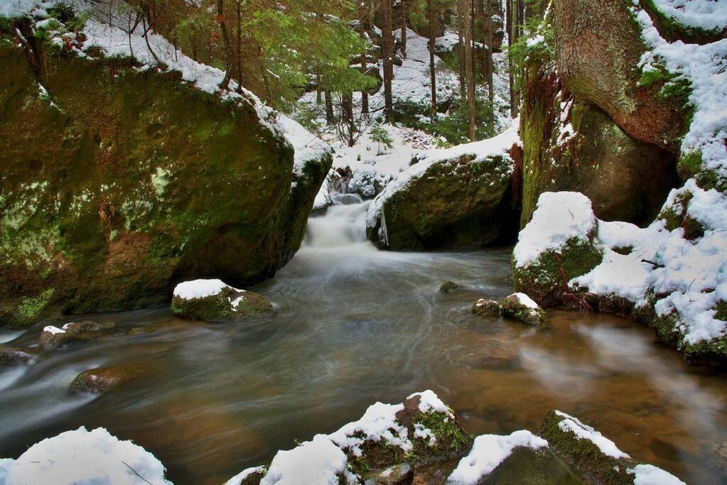 Apartment Tour Bohemian Switzerland Horni Podluzi ภายนอก รูปภาพ