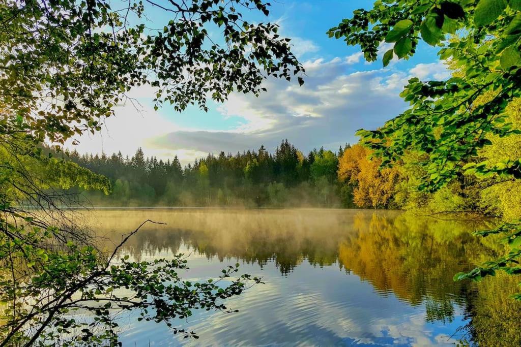 Apartment Tour Bohemian Switzerland Horni Podluzi ภายนอก รูปภาพ